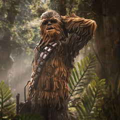 Star Wars Episode VI Art Scale Statue 1/10 Chewbacca and Tokkat 22 cm             0042882334576