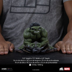 Marvel Hulk Brand New Day Minico Mini Figure Hulk 14 cm 0042882336617