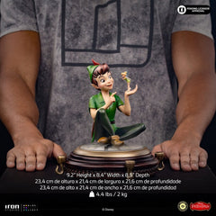 Peter Pan (1953) Art Scale Statue 1/10 Peter Pan & Tinkerbell 23 cm 0042882337713