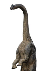 Jurassic World Icons Statue Brachiosaurus 19 cm 0618231951994