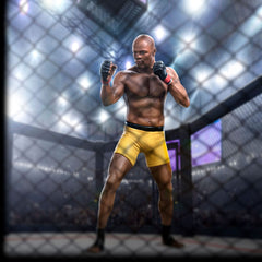 UFC Deluxe Art Scale Statue 1/10 Anderson "Spider" Silva - Signed Version 22 cm 0618231952670
