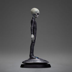 I want to Believe Art Scale Statue 1/10 Alien Grey 21 cm  0618231955893