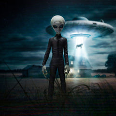I want to Believe Art Scale Statue 1/10 Alien Grey 21 cm  0618231955893