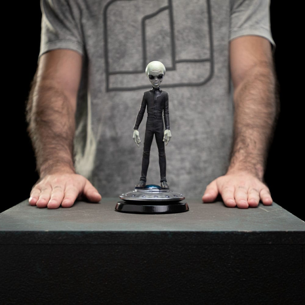 I want to Believe Art Scale Statue 1/10 Alien Grey 21 cm  0618231955893