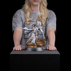 Star Wars Deluxe Art Scale Statue 1/10 Luke and Leia 41 cm               0618231957019