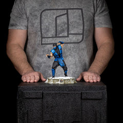 Mortal Kombat Art Scale Statue 1/10 Sub-Zero (Ninjas Collection) heo Exclusice 21 cm 0618231959808