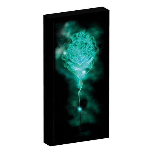 Harry Potter Canvas Poster (With Light) 8052780428989
