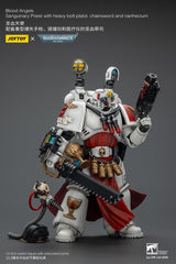 Warhammer 40,000 Action Figure Blood Angels Sanguinary Priest 12 cm 6927054401789