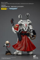 Warhammer 40,000 Action Figure Blood Angels Sanguinary Priest 12 cm 6927054401789