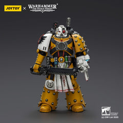 Warhammer 40,000: imperial Fists Action Figure Legion Apothecary 12 cm 6927054402472