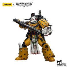 Warhammer 40,000: imperial Fists Action Figure Legion Apothecary 12 cm 6927054402472