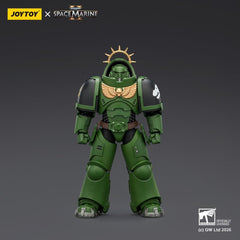 Warhammer 40,000 Action Figure Game Edition Salamanders Heavy Intercessor 13 cm 6927054403677