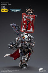Warhammer 40k Action Figure 1/18 Grey Knights Castellan Crowe 12 cm 6973130373518