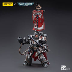 Warhammer 40k Action Figure 1/18 Grey Knights Castellan Crowe 12 cm 6973130373518