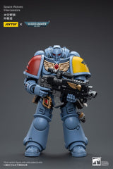 Warhammer 40k Action Figure 1/18 Space Wolves Intercessors 12 cm 6973130376625