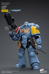 Warhammer 40k Action Figure 1/18 Space Wolves Intercessors 12 cm 6973130376625