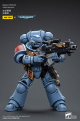 Warhammer 40k Action Figure 1/18 Space Wolves Intercessors 12 cm 6973130376625