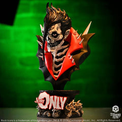 Misfits 3D Vinyl Statue Jerry Only Anti-Hero 23 cm 0785571596052
