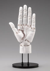 Takahiro Kagami PVC Artist Support Item Hand 1/1 Model Men /L White 22 cm   4934054067299