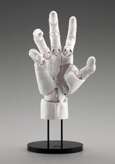 Takahiro Kagami PVC Artist Support Item Hand 1/1 Model Men /R White 22 cm 4934054070770