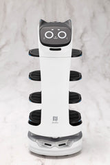 Pudu Robotics Grande ScalePlastic Model Kit BellaBot 19 cm    4934054075690