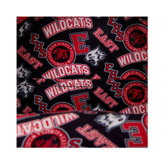 High School Musical by Loungefly Mini Backpack Wildcats 0671803553804