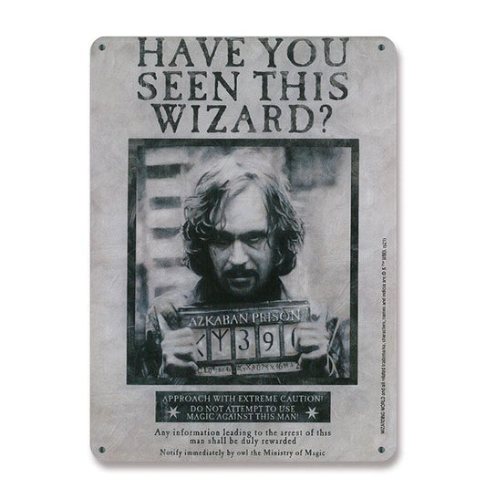 Harry Potter Tin Sign Have You Seen This Wizard 15 x 21 cm 4045846388239