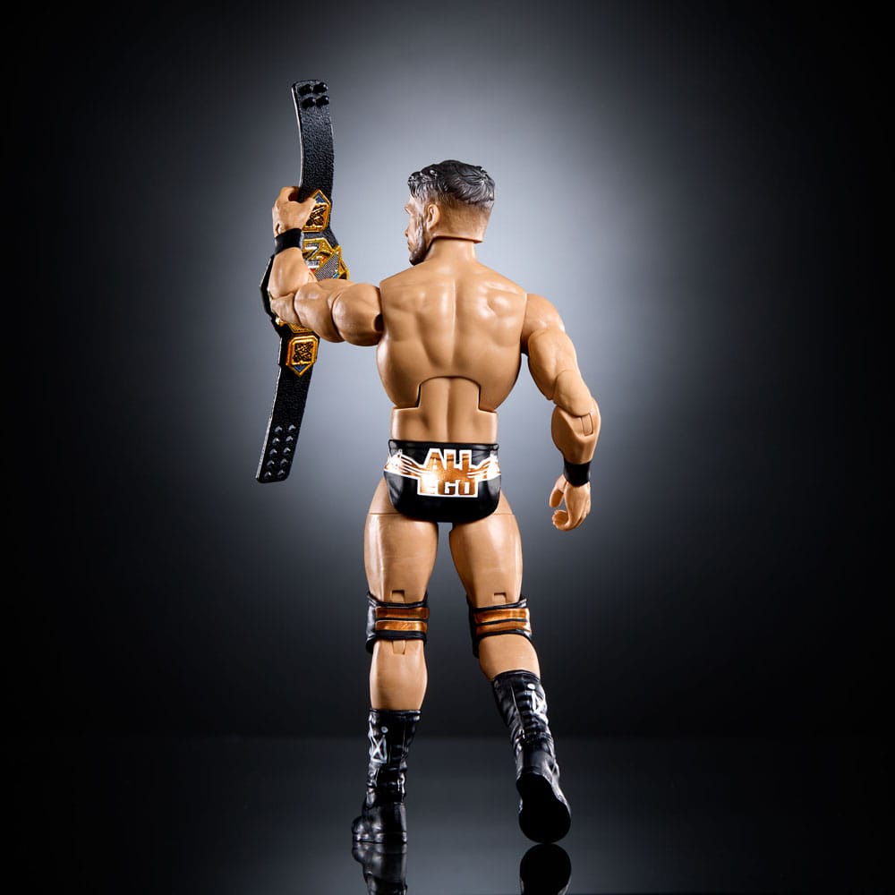 WWE Elite Collection Action Figure Ethan Page 15 cm 0194735271139