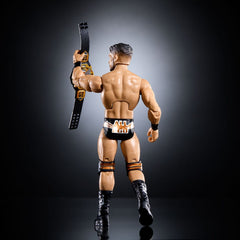 WWE Elite Collection Action Figure Ethan Page 15 cm 0194735271139