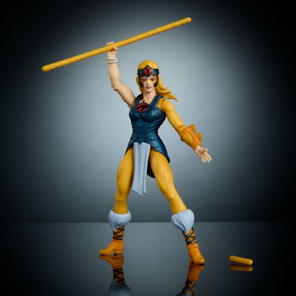 Masters of the Universe x ThunderCats Action Figure Cheetara 14 cm 0194735307623