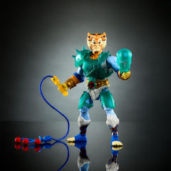 Masters of the Universe x ThunderCats Action Figure Tygra 14 cm 0194735307609