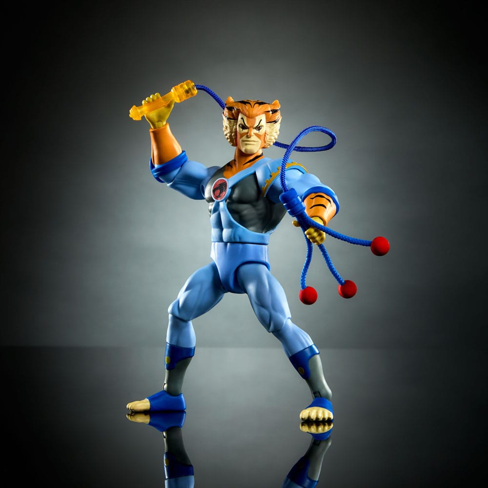 Masters of the Universe x ThunderCats Action Figure Tygra 14 cm 0194735307609