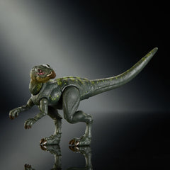 Jurassic World Hammond Collection Action Figure Hypsilophodon 0194735353132