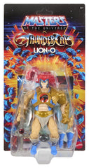 Masters of the Universe x ThunderCats Action Figure Lion-O 14 cm 0194735377749