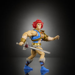Masters of the Universe x ThunderCats Action Figure Lion-O 14 cm 0194735377749