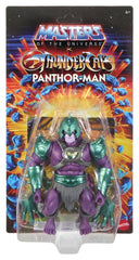 Masters of the Universe x ThunderCats Action Figure Panthor Man 14 cm 0194735377725
