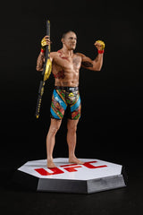 UFC Posed PVC Statue Alex Pereira 18 cm 0787926104424