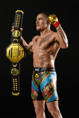 UFC Posed PVC Statue Alex Pereira 18 cm 0787926104424