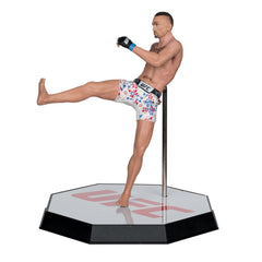UFC Posed PVC Statue Max Holloway 18 cm 0787926104431