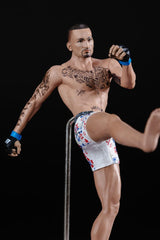 UFC Posed PVC Statue Max Holloway 18 cm 0787926104431