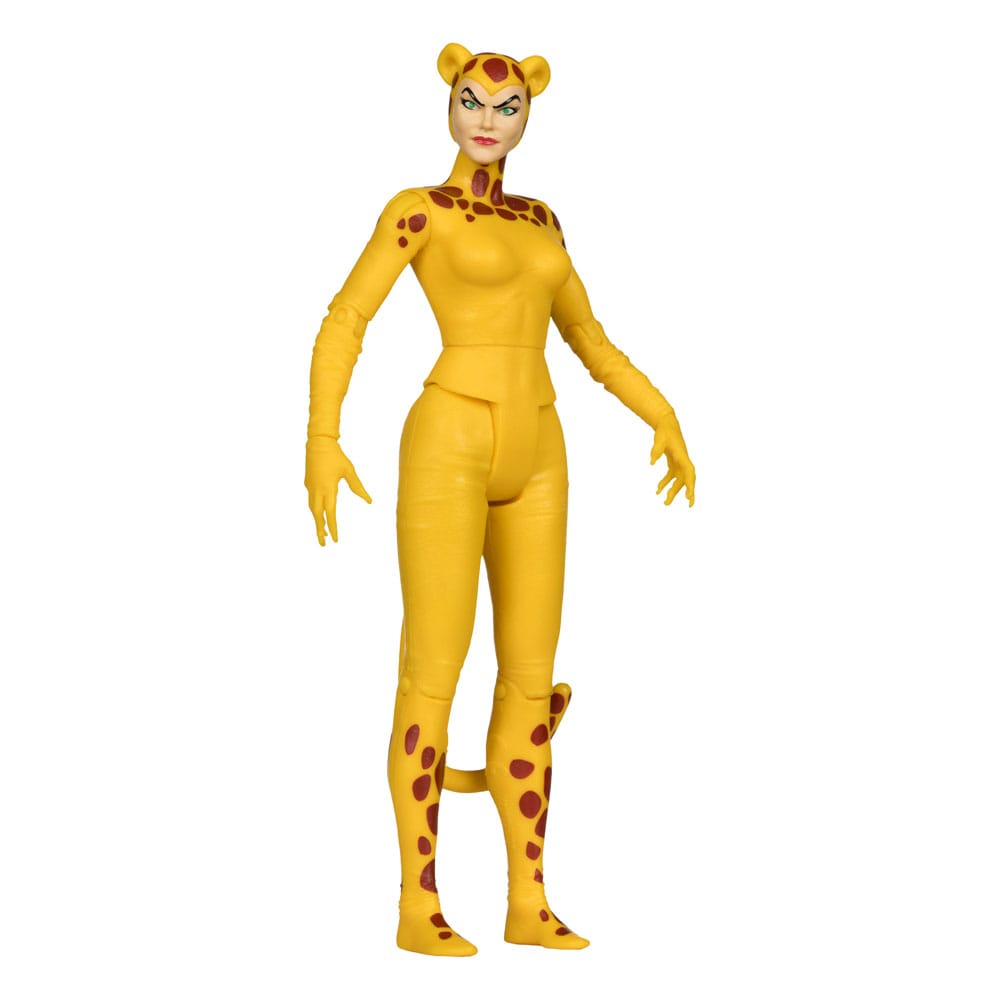 DC Retro Action Figures 15 cm Wave 13 Super Friends Sortiment (6) 0787926174854
