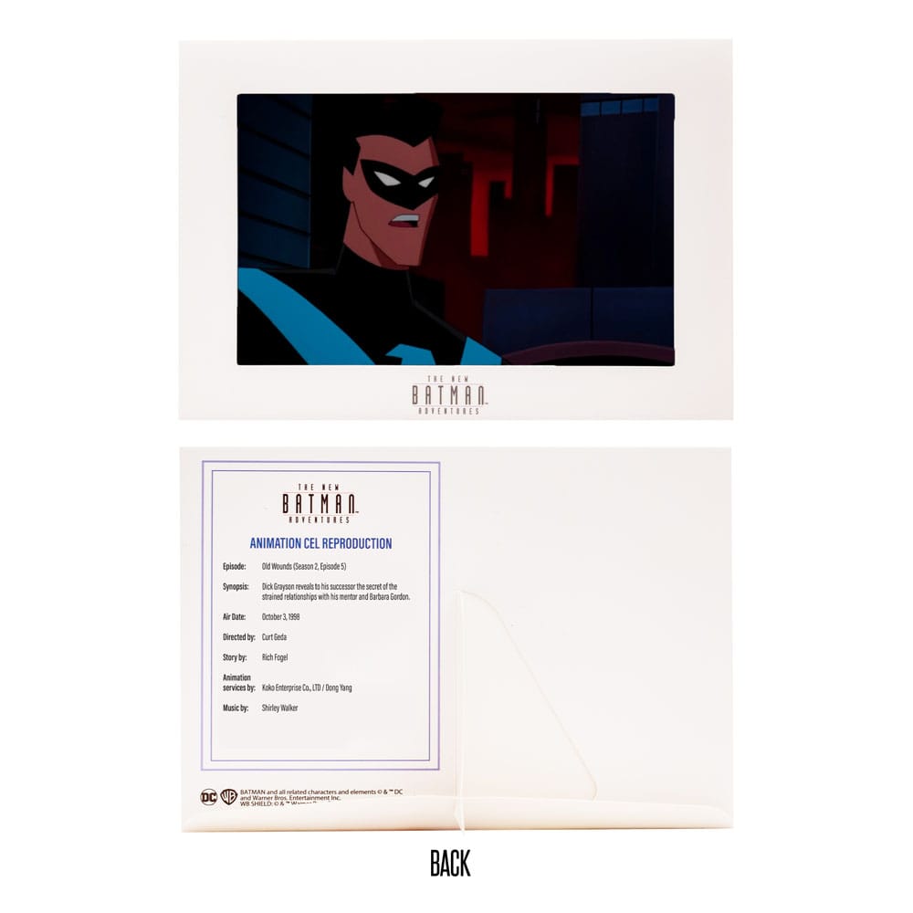DC Direct Action Figure The New Batman Adventures Nightwing 15 cm 0787926177480