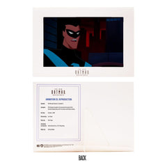 DC Direct Action Figure The New Batman Adventures Nightwing 15 cm 0787926177480