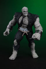 DC Multiverse Action Figures 2-Pack Solomon Grundy vs Green Lantern 18 cm 0787926177527
