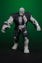 DC Multiverse Action Figures 2-Pack Solomon Grundy vs Green Lantern 18 cm 0787926177527