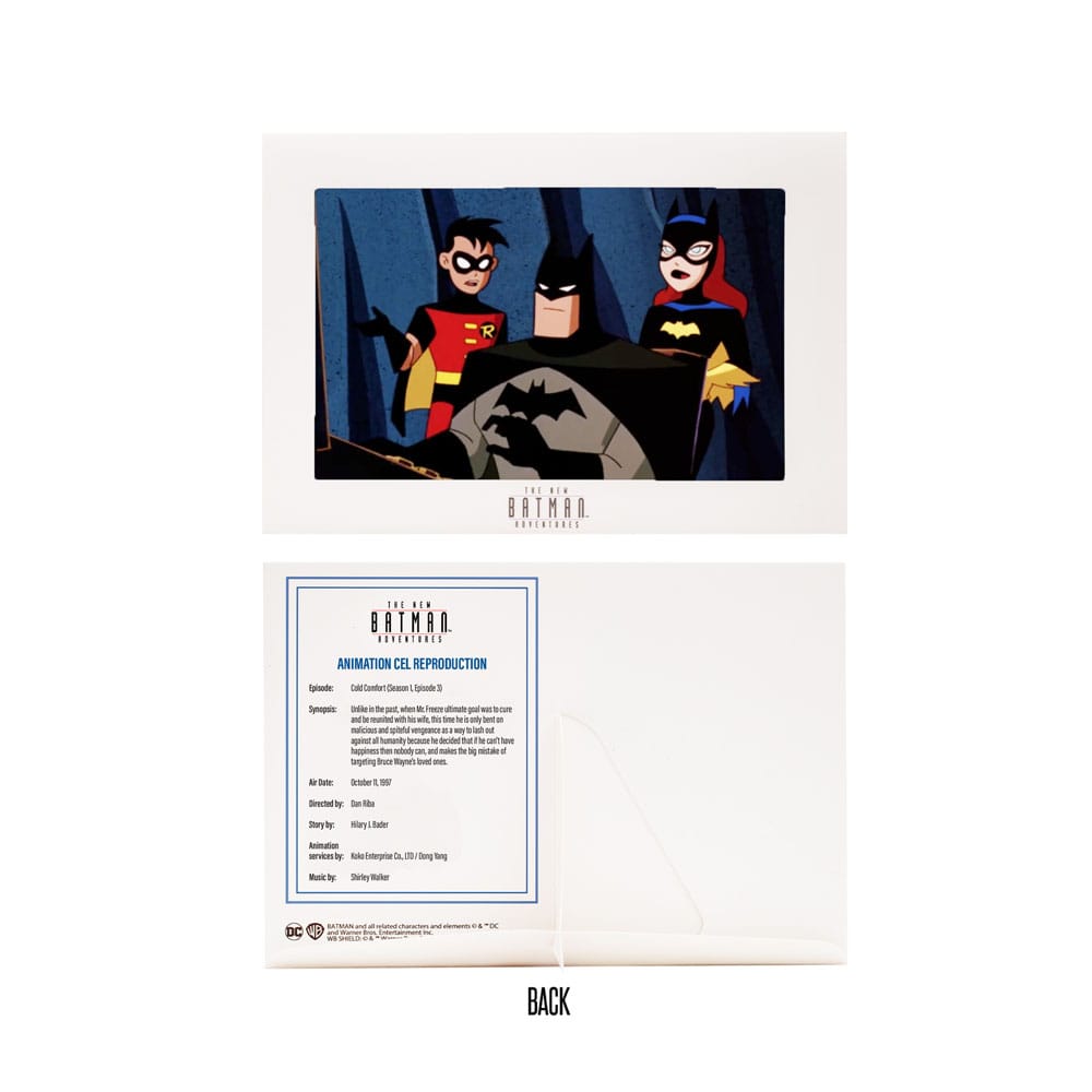 The New Batman Adventure DC Direct 1/6 Action Figure Batman (Silver) 15 cm 0787926177725