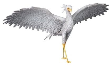 Flow UDF PVC Figur SecretarybirdFlow UDF PVC Figure SecretarybirdFlow figurine PVC UDF SecretarybirdFlow UDF Figura PVC Secretarybird 4530956159232