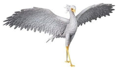 Flow UDF PVC Figur SecretarybirdFlow UDF PVC Figure SecretarybirdFlow figurine PVC UDF SecretarybirdFlow UDF Figura PVC Secretarybird 4530956159232