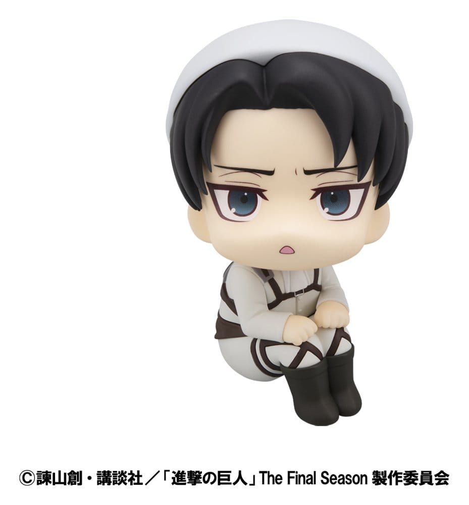 Attack on Titan Look Up PVC Statues Levi Cleaning up Ver. & Mikasa Ackerman (with gift) 11 cm            4535123849435