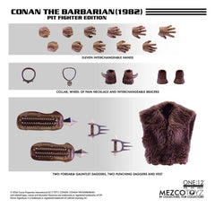 Conan the Barbarian One:12 Collective Action Figure 1/12 Conan (Pit Fighter Edition) 16 cm 0696198768145